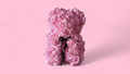 Teddy Bear Roses Color pink