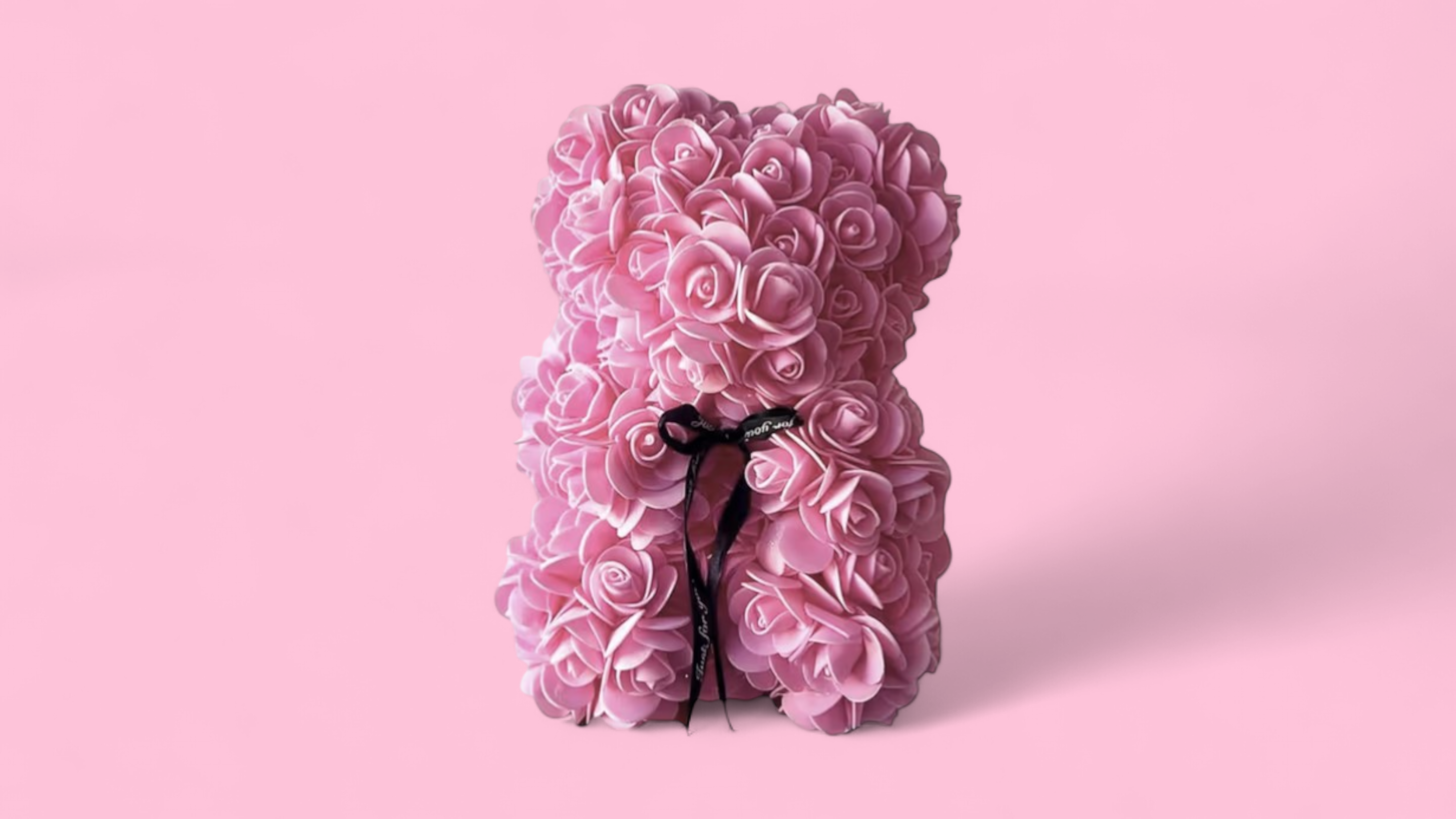 Teddy Bear Roses Color pink