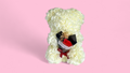 Teddy Bear Roses Color  white 24cm